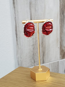 Rhuby Stone Stud Earrings